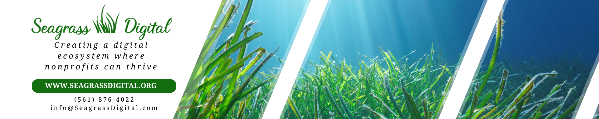 Seagrass Digital Logo