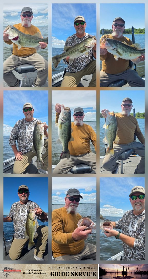 Review image from Mike Lachner